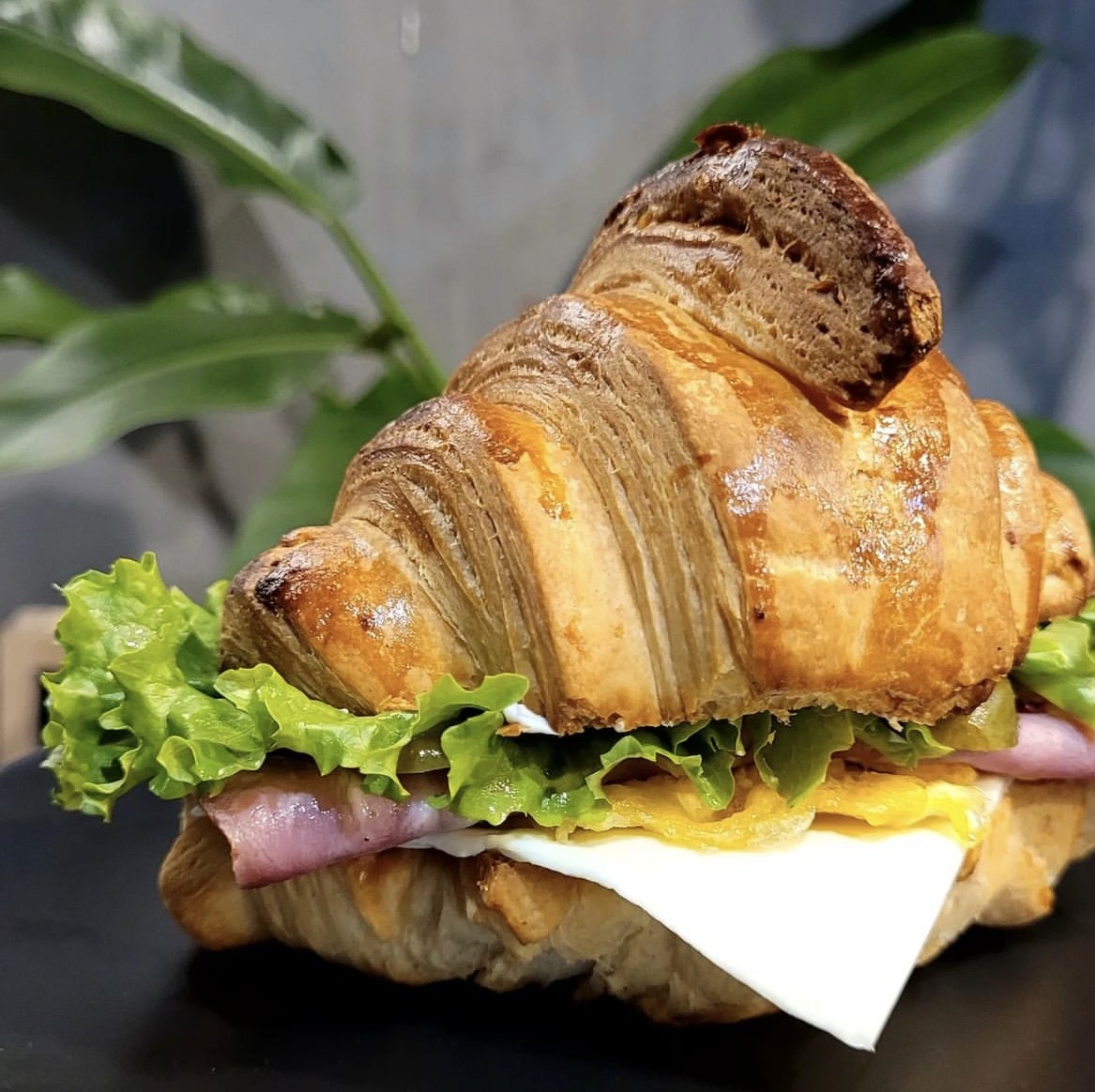 Croissant Sandwich dish
